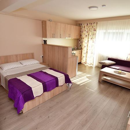 City Premium Apartments Temeşvar Dış mekan fotoğraf