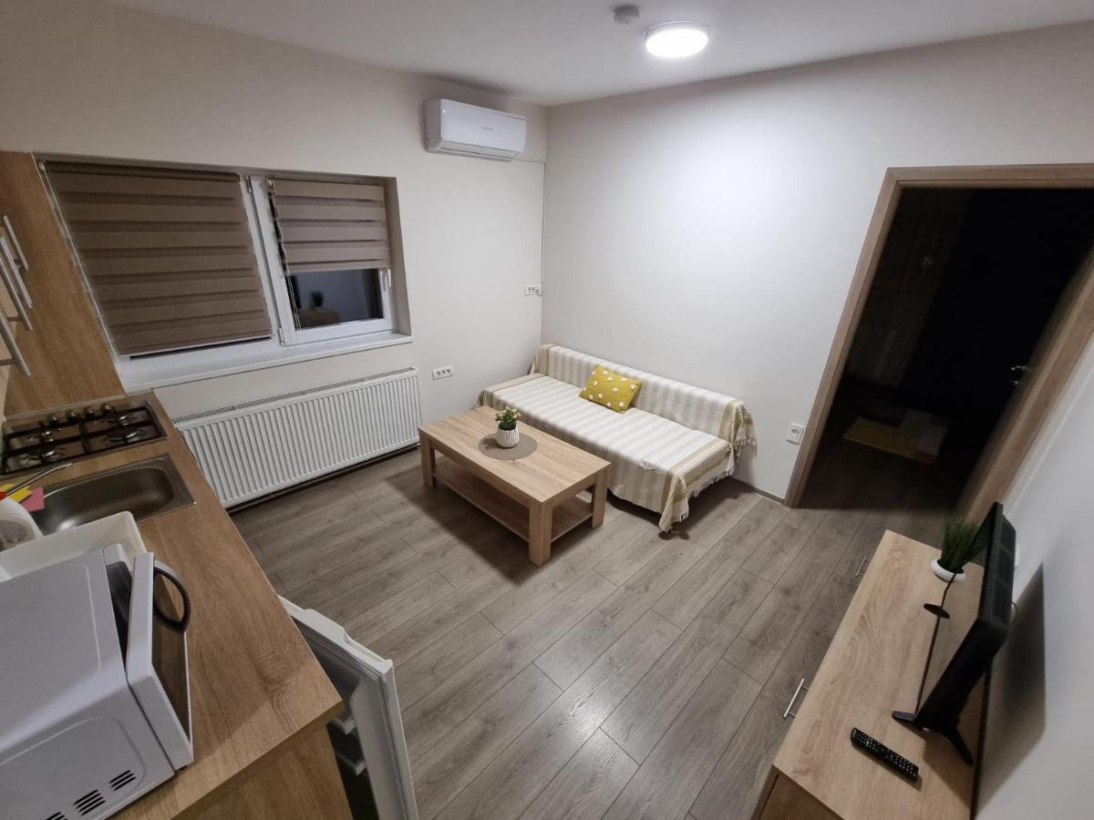 City Premium Apartments Temeşvar Dış mekan fotoğraf