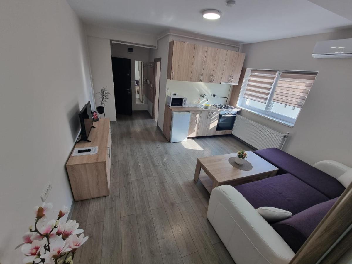 City Premium Apartments Temeşvar Dış mekan fotoğraf