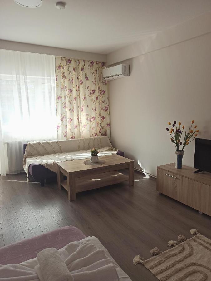 City Premium Apartments Temeşvar Dış mekan fotoğraf