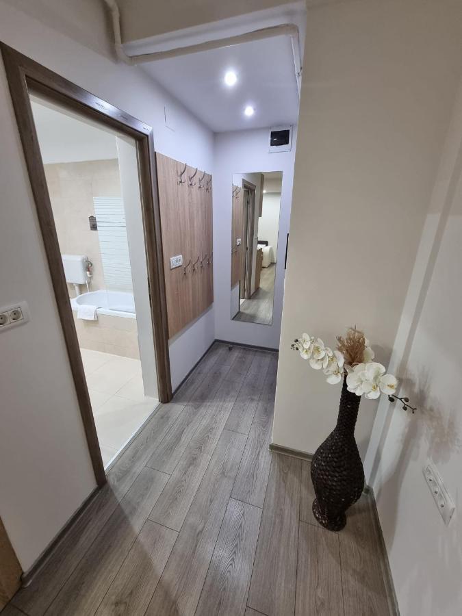 City Premium Apartments Temeşvar Dış mekan fotoğraf