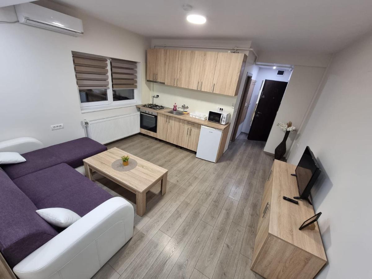City Premium Apartments Temeşvar Dış mekan fotoğraf