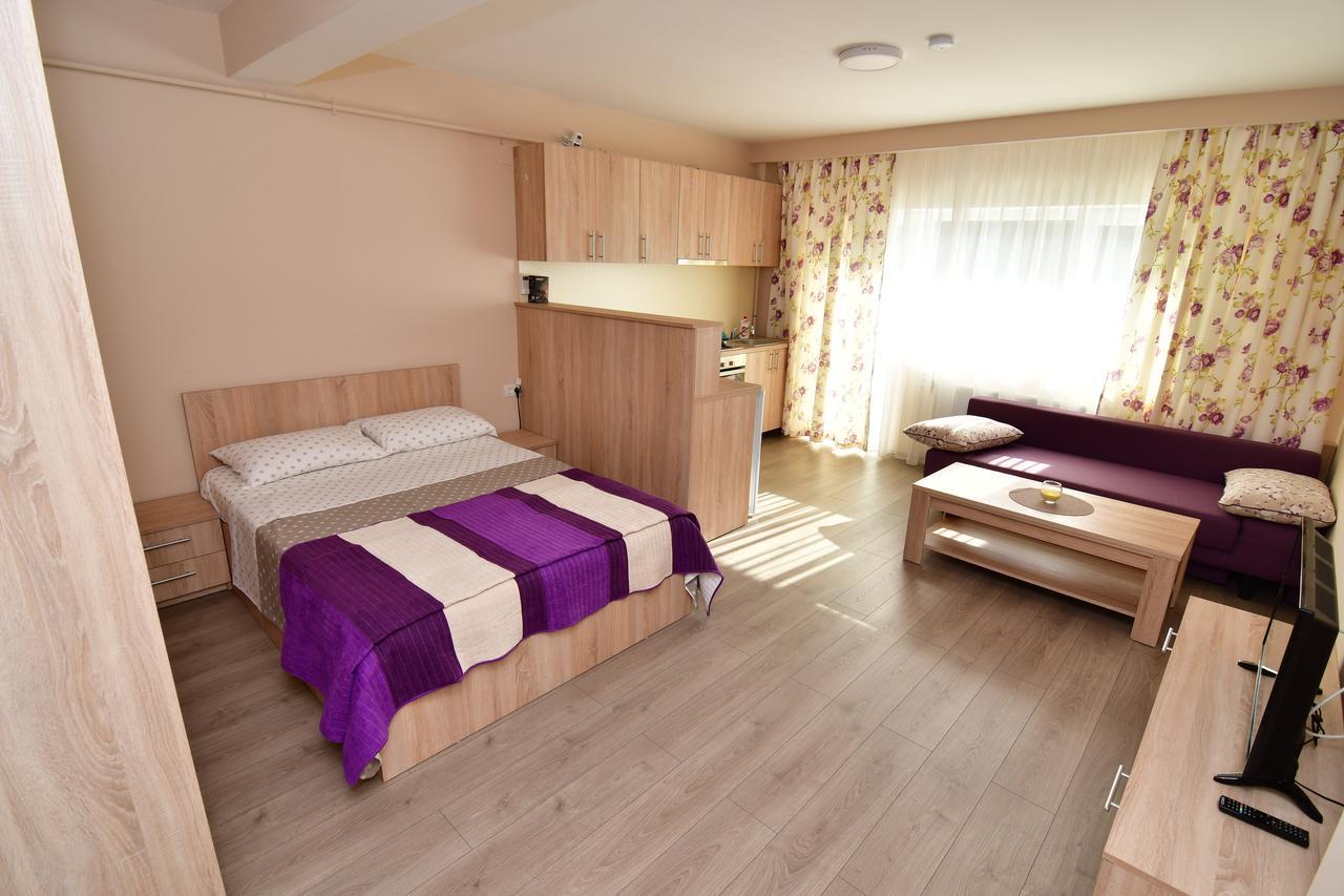 City Premium Apartments Temeşvar Dış mekan fotoğraf